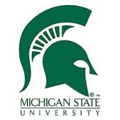 michigan state university 